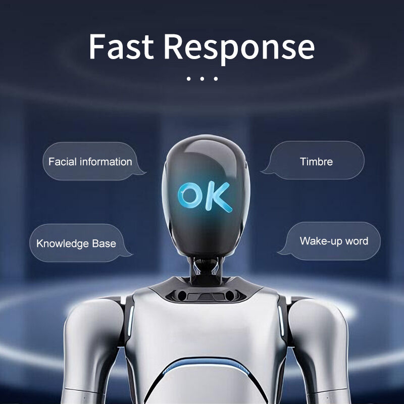 AgiBot G2 Industrial-Grade Interactive Embodied Operation Robot